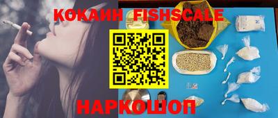 мдпв Жуковский