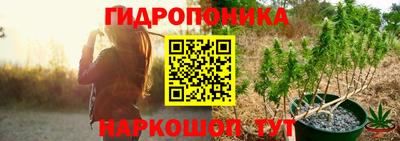 мдпв Жуковский